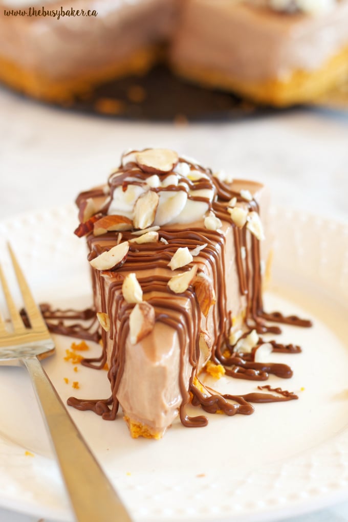 This Easy No Bake Nutella Cheesecake is the perfect easy dessert recipe for Nutella lovers! Recipe from thebusybaker.ca!