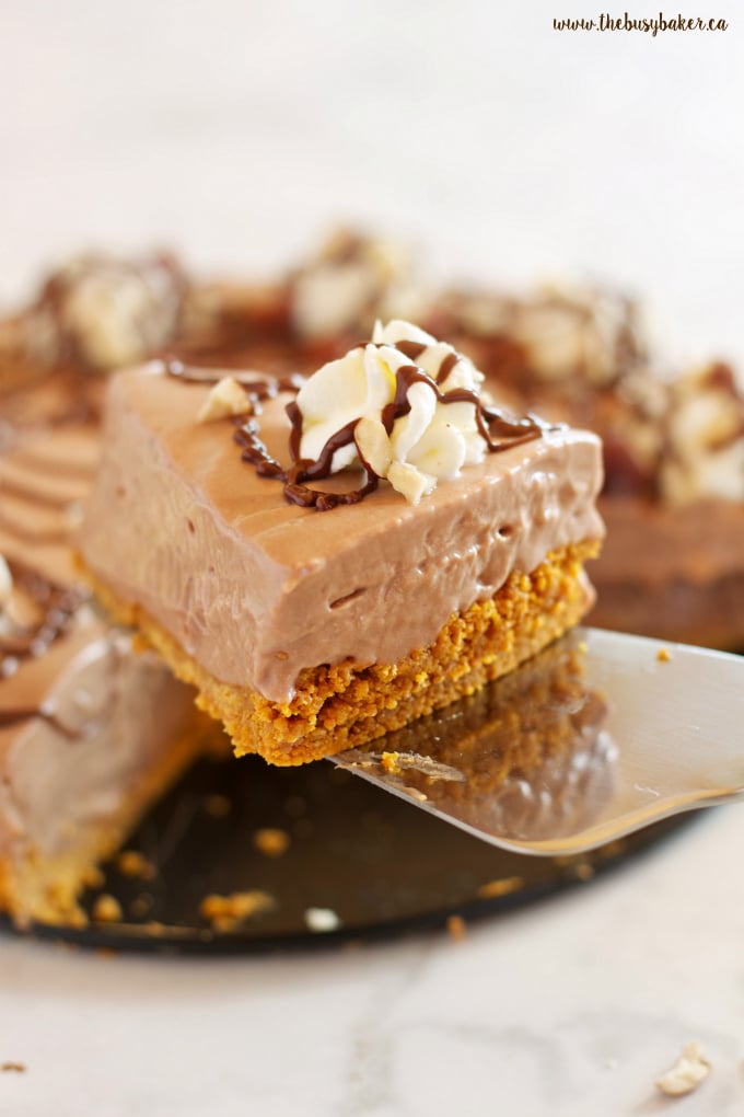 This Easy No Bake Nutella Cheesecake is the perfect easy dessert recipe for Nutella lovers! Recipe from thebusybaker.ca!