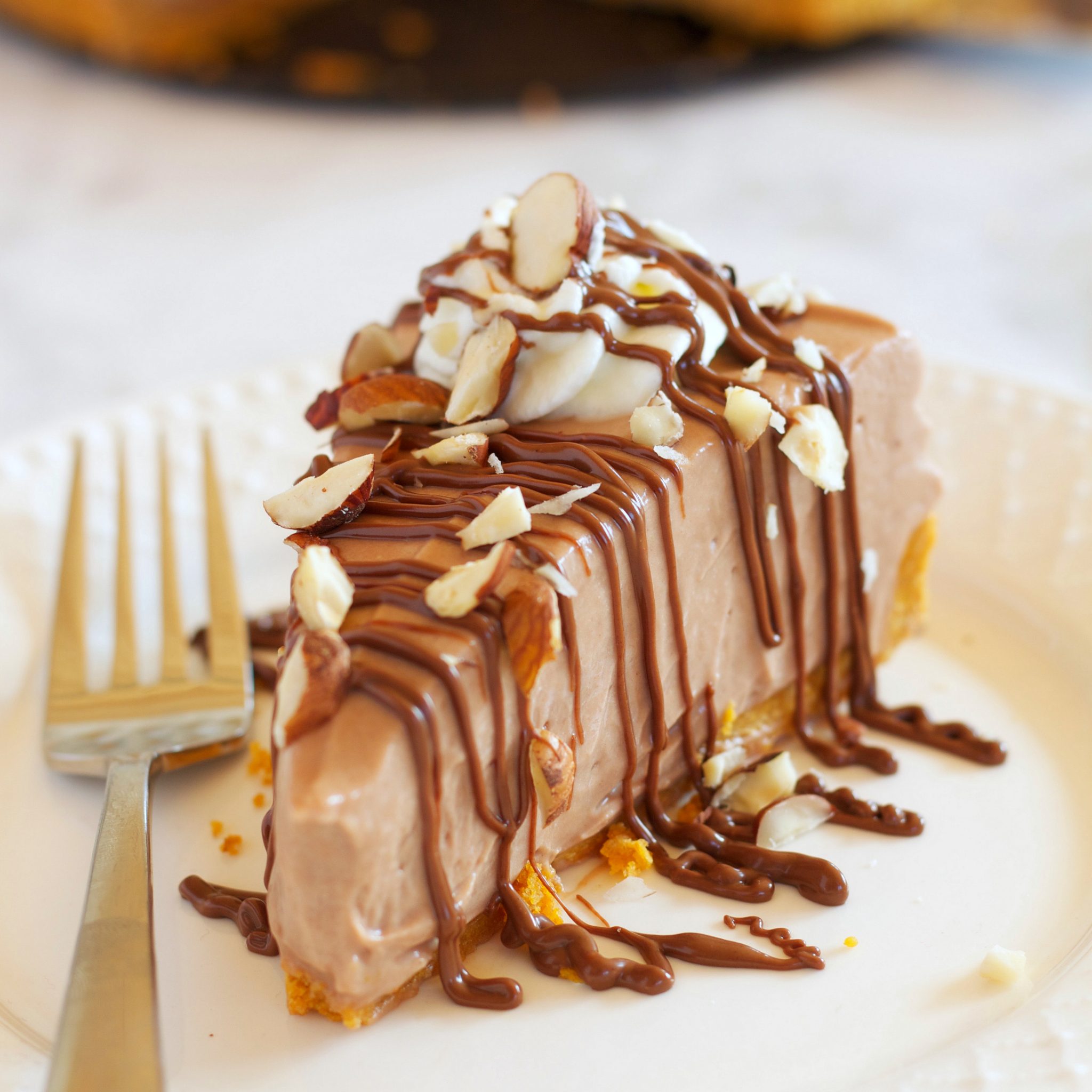 slice of no bake Nutella cheesecake