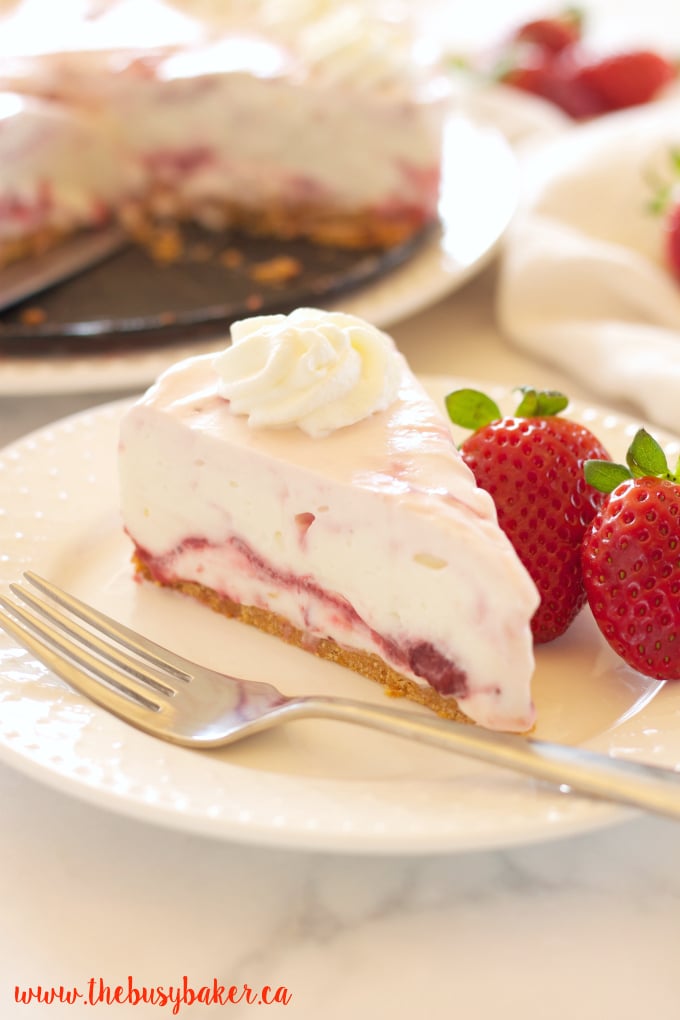This Easy No Bake Strawberry Swirl Cheesecake is a delicious, easy to make, creamy and smooth dessert for spring and summer! And it's gelatin-free! Recipe from thebusybaker.ca!