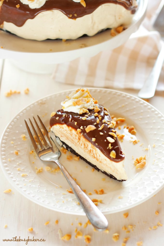 An Easy No Bake Creamy Peanut Butter Chocolate Cheesecake with a chocolate cookie base, a creamy peanut butter cheesecake filling, & milk chocolate ganache! The perfect no bake peanut butter chocolate dessert! Recipe from thebusybaker.ca!