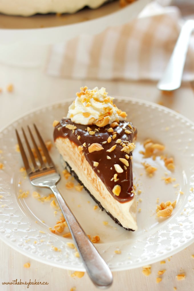 An Easy No Bake Creamy Peanut Butter Chocolate Cheesecake with a chocolate cookie base, a creamy peanut butter cheesecake filling, & milk chocolate ganache! The perfect no bake peanut butter chocolate dessert! Recipe from thebusybaker.ca!