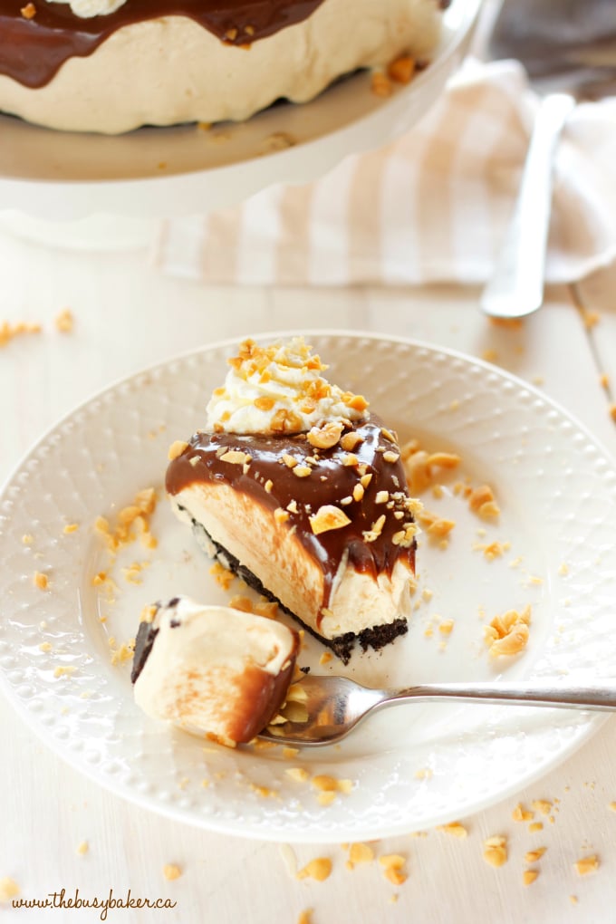 An Easy No Bake Creamy Peanut Butter Chocolate Cheesecake with a chocolate cookie base, a creamy peanut butter cheesecake filling, & milk chocolate ganache! The perfect no bake peanut butter chocolate dessert! Recipe from thebusybaker.ca!