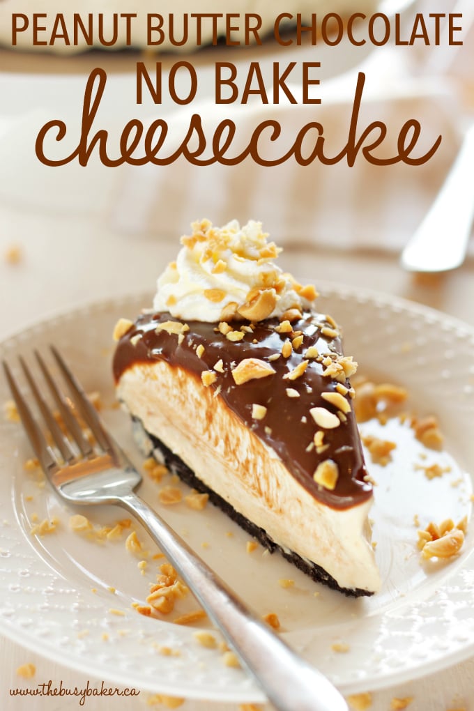 No Bake Creamy Peanut Butter Chocolate Cheesecake - The Busy Baker