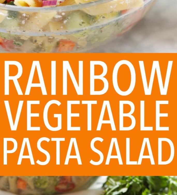 Rainbow Vegetable Pasta Salad with Creamy Italian Herb Dressing The