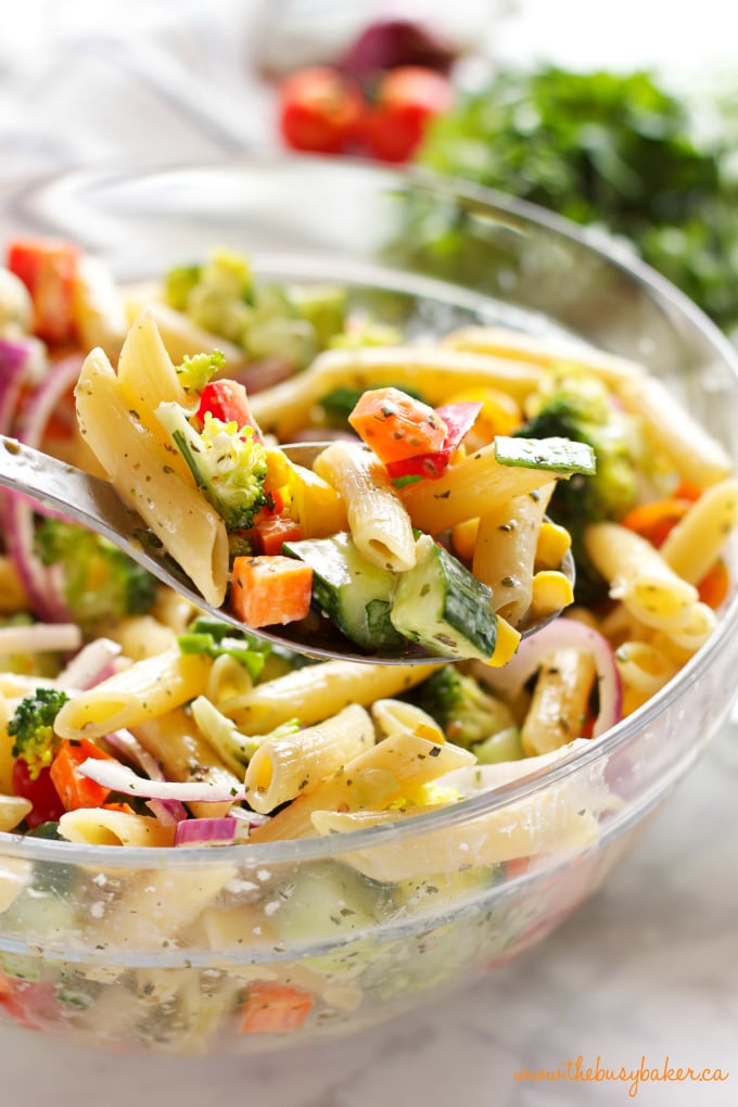 This Rainbow Vegetable Pasta Salad is packed with over 7 fresh vegetables, delicious pasta, and topped with an easy Creamy Italian Herb Dressing! Recipe from thebusybaker.ca