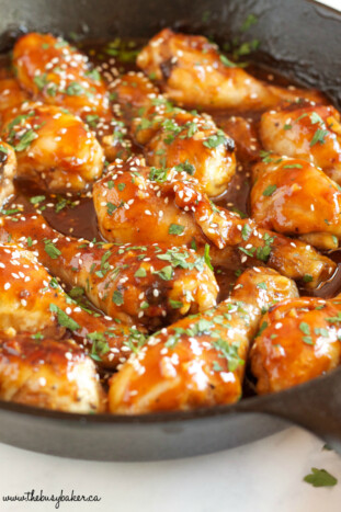 Easy One Pan Honey Garlic Chicken - The Busy Baker