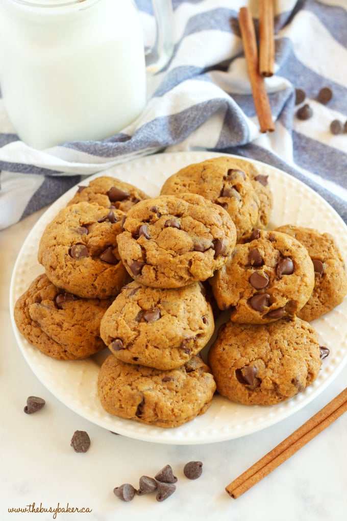These Pumpkin Spice Chocolate Chip Cookies are perfectly soft and chewy, full of pumpkin and spice and delicious chocolate! Recipe from thebusybaker.ca!