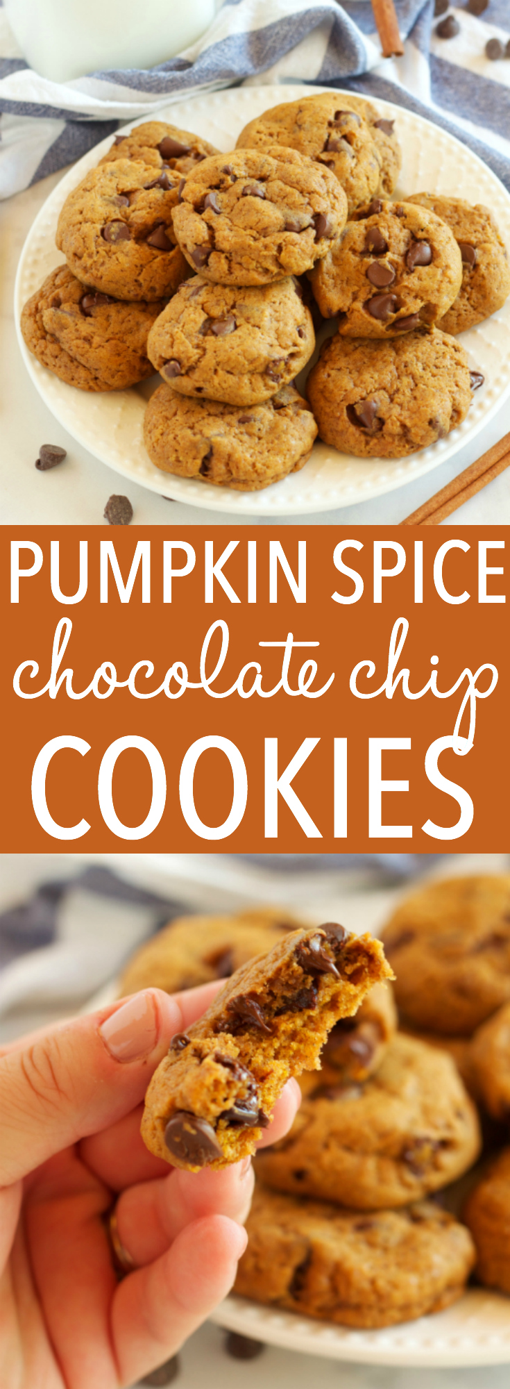 These Pumpkin Spice Chocolate Chip Cookies are perfectly soft and chewy, full of pumpkin and spice and delicious chocolate! Recipe from thebusybaker.ca! via @busybakerblog