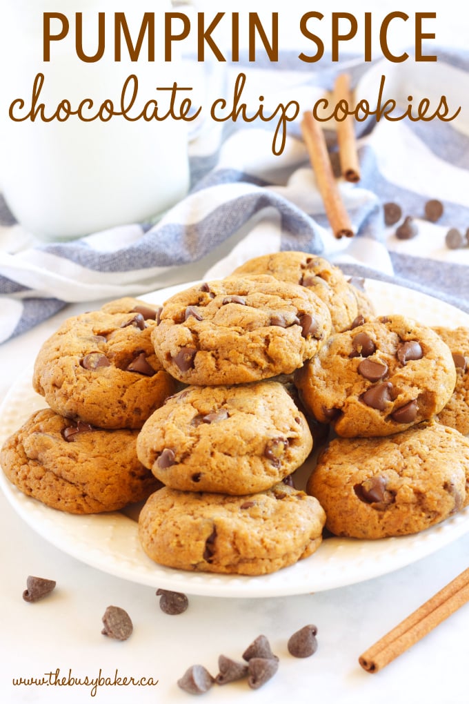 These Pumpkin Spice Chocolate Chip Cookies are perfectly soft and chewy, full of pumpkin and spice and delicious chocolate! Recipe from thebusybaker.ca!