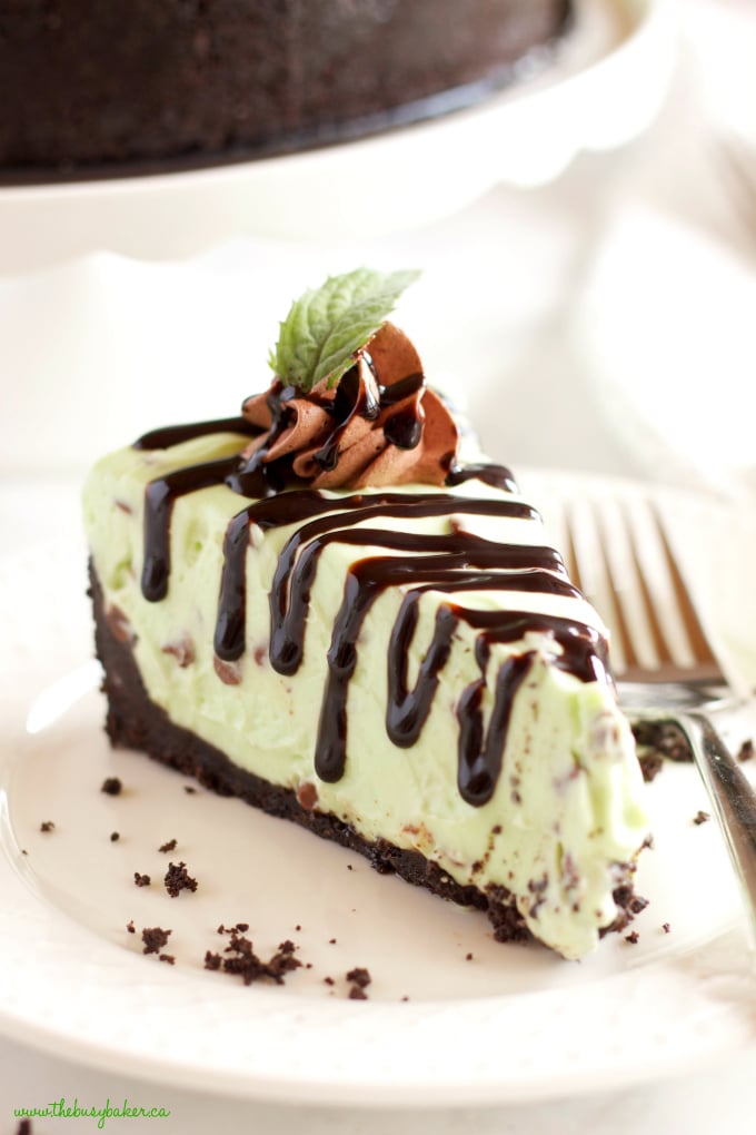This Easy No Bake Mint Chocolate Chip Cheesecake is ultra creamy, flavored with mint and chocolate, and so easy to make with only a few ingredients! It's gelatin-free and is a mint chocolate lover's dream dessert! #mintchocolate #nobakecheesecake #easynobakedessert