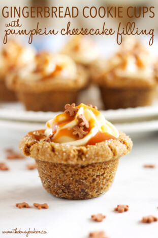Gingerbread Cookie Cups with Pumpkin Cheesecake Filling - The Busy Baker