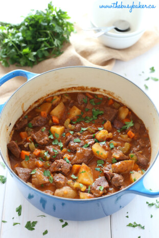 The BEST Beef Stew - The Busy Baker