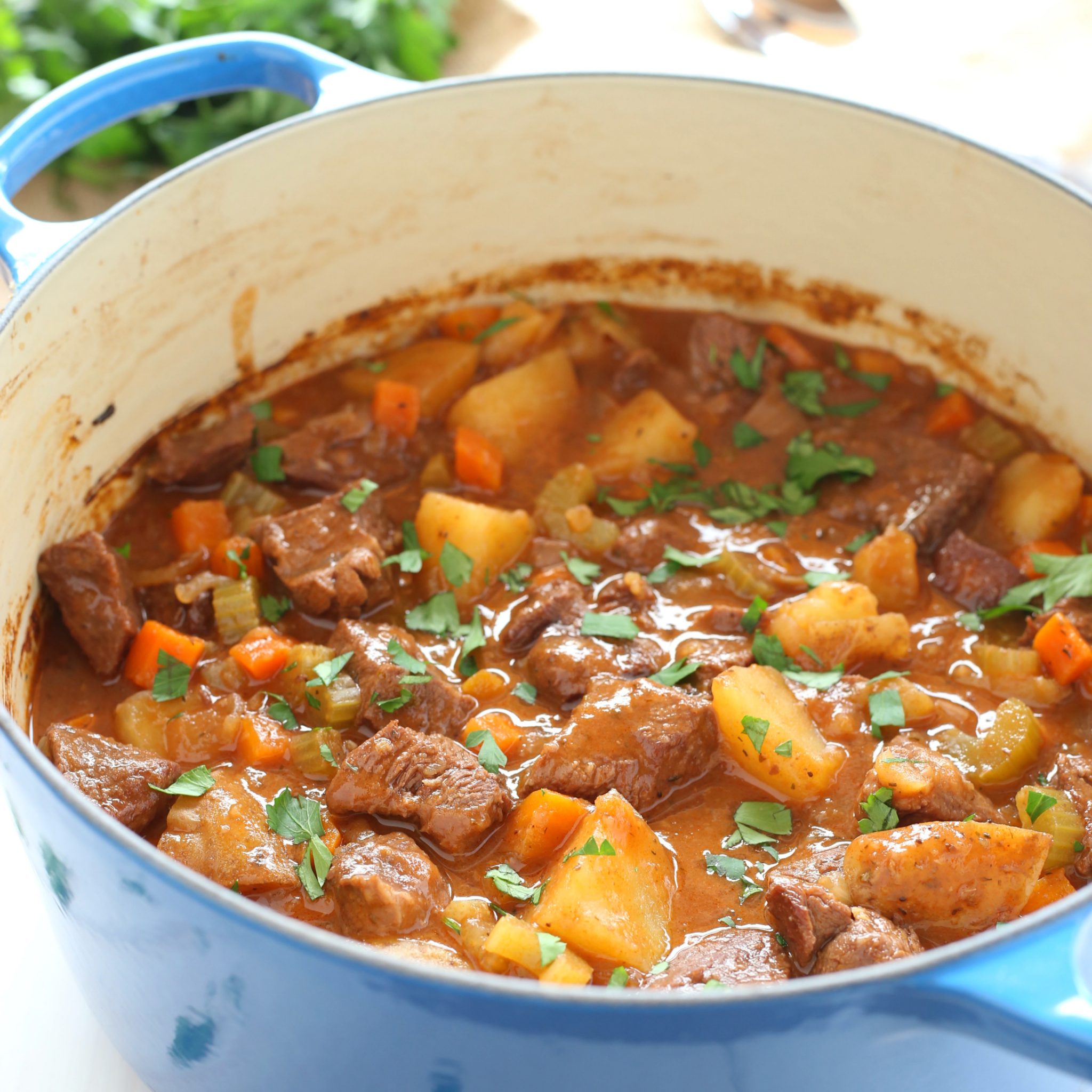 This Best Ever One Pot Beef Stew is an easy, classic beef stew recipe that cooks to perfection on the stove top and in the oven. It's the best comfort food! Recipe from thebusybaker.ca #comfortfood #bestbeefstewrecipe #besteverbeefstew #easybeefstew #winterstew #soup