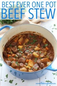 The BEST Beef Stew The Busy Baker