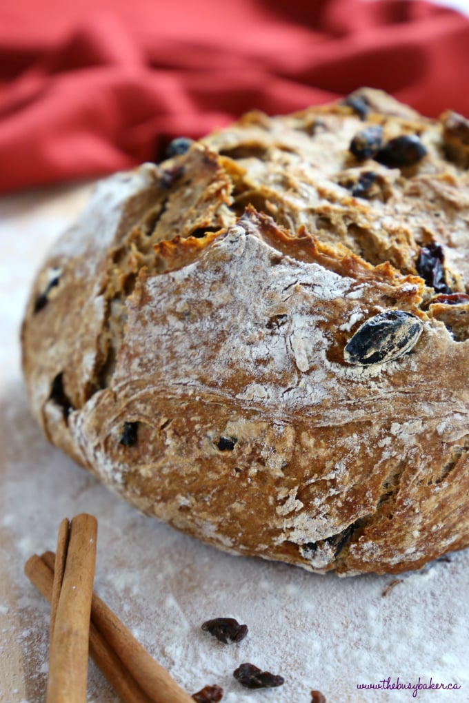 This Easy No Knead Cinnamon Raisin Artisan Bread is crusty on the outside, tender and fluffy on the inside and packed with sweet cinnamon flavour and juicy raisins. And it's SO easy to make this bakery-style loaf at home in your own kitchen! Recipe from thebusybaker.ca! #bakerybread #nokneadbread #artisanbread #bestcinnamonraisinbread