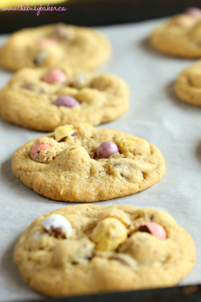 These Mini Eggs Chocolate Chip Cookies are the perfect easy snack or dessert for Easter! Made with the perfect soft and chewy chocolate chip cookie dough and stuffed with delicious candy-coated Mini Eggs, these cookies are beautiful, colorful, and perfect for Spring! Recipe from thebusybaker.ca! #minieggsdessert #minieggscookies #easyeasterdessert