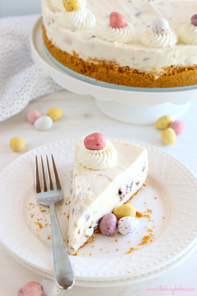 This Easy No Bake Mini Eggs Cheesecake is the perfect Easter dessert that's easy to make and fun to eat, featuring everybody's favourite Easter candy! Plus tips for a perfectly set no-bake cheesecake every time! Recipe from thebusybaker.ca! #easterdessert #springdessert #springcheesecake #minieggs #minieggsrecipe