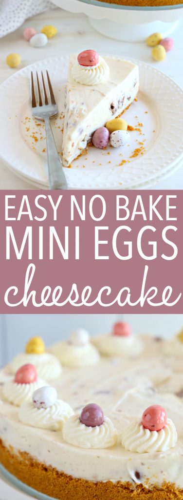 This Easy No Bake Mini Eggs Cheesecake is the perfect Easter dessert that's easy to make and fun to eat, featuring everybody's favourite Easter candy! Plus tips for a perfectly set no-bake cheesecake every time! Recipe from thebusybaker.ca! #easterdessert #springdessert #springcheesecake #minieggs #minieggsrecipe