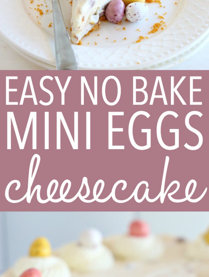 Easy No Bake Mini Eggs Cheesecake - The Busy Baker
