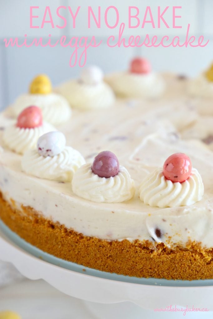 Easy No Bake Mini Eggs Cheesecake The Busy Baker