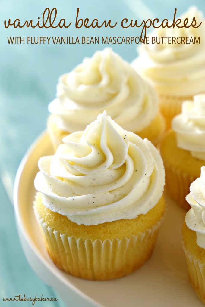 These Vanilla Bean Cupcakes are tender and fluffy and topped with ultra creamy mascarpone buttercream frosting made with real vanilla beans! They're perfect for parties, birthdays, or any occasion at all! Recipe from thebusybaker.ca! #bestevervanillacupcakes #easyvanillacupcakes #vanillabeancupcakerecipe