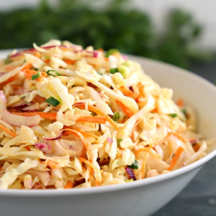 Best Ever Creamy Coleslaw {Easy to Make!} The Busy Baker