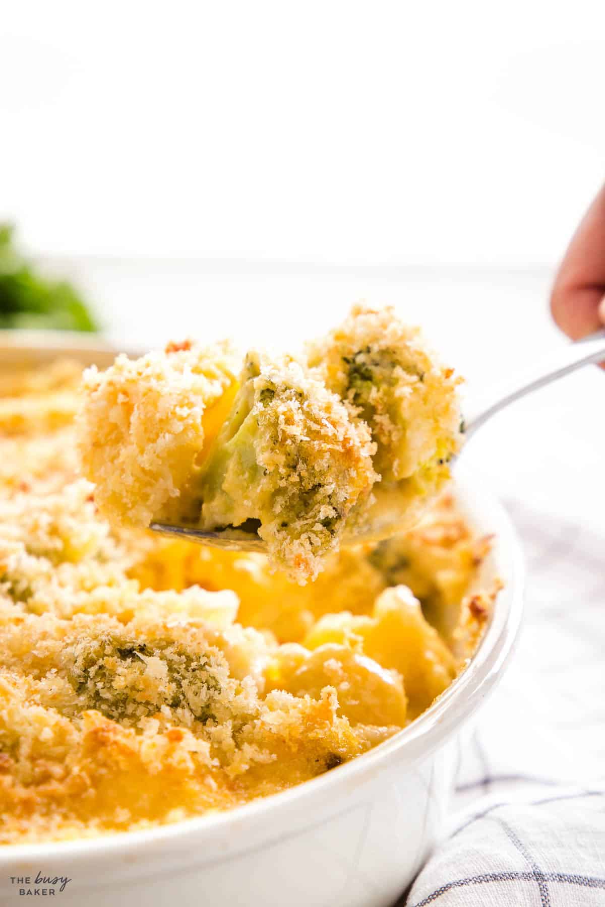 broccoli cheese casserole with crispy topping