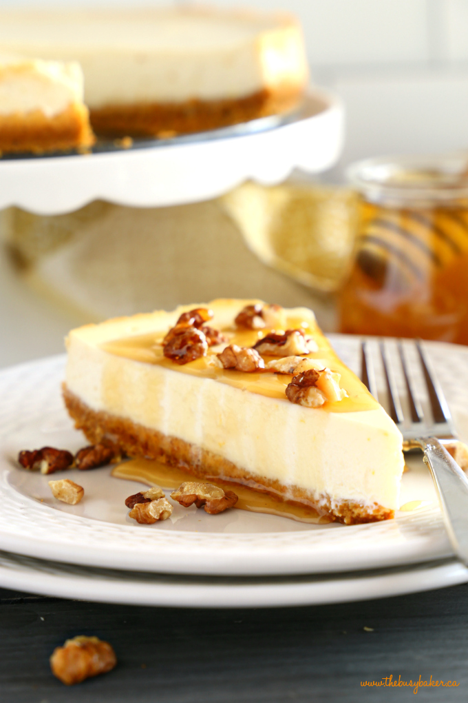 Healthy Honey Greek Yogurt Cheesecake with drizzle of honey and walnuts
