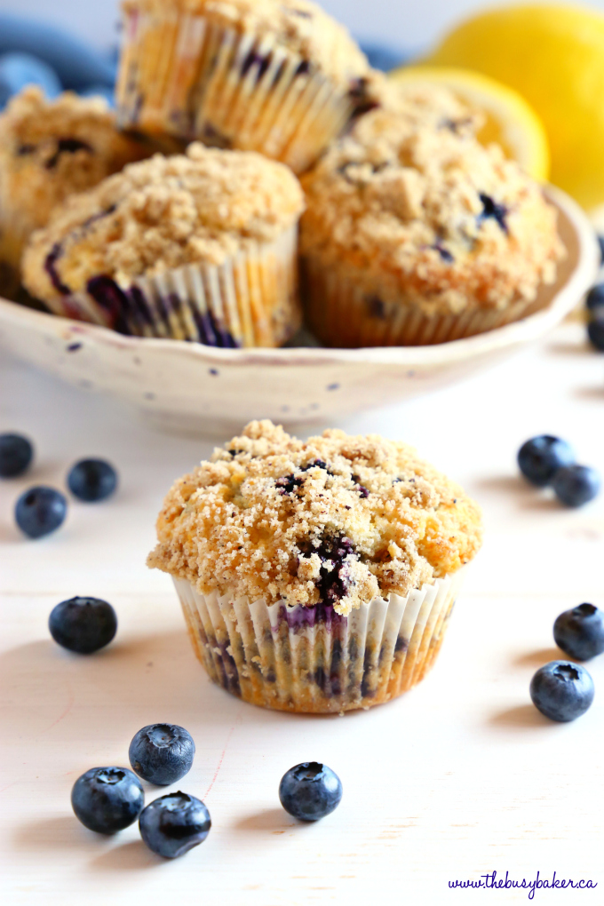 Best Ever Blueberry Streusel Muffins Easy Recipe The Busy Baker