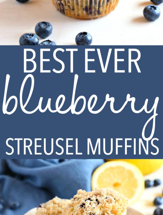 Best Ever Blueberry Streusel Muffins {Easy Recipe!} - The Busy Baker