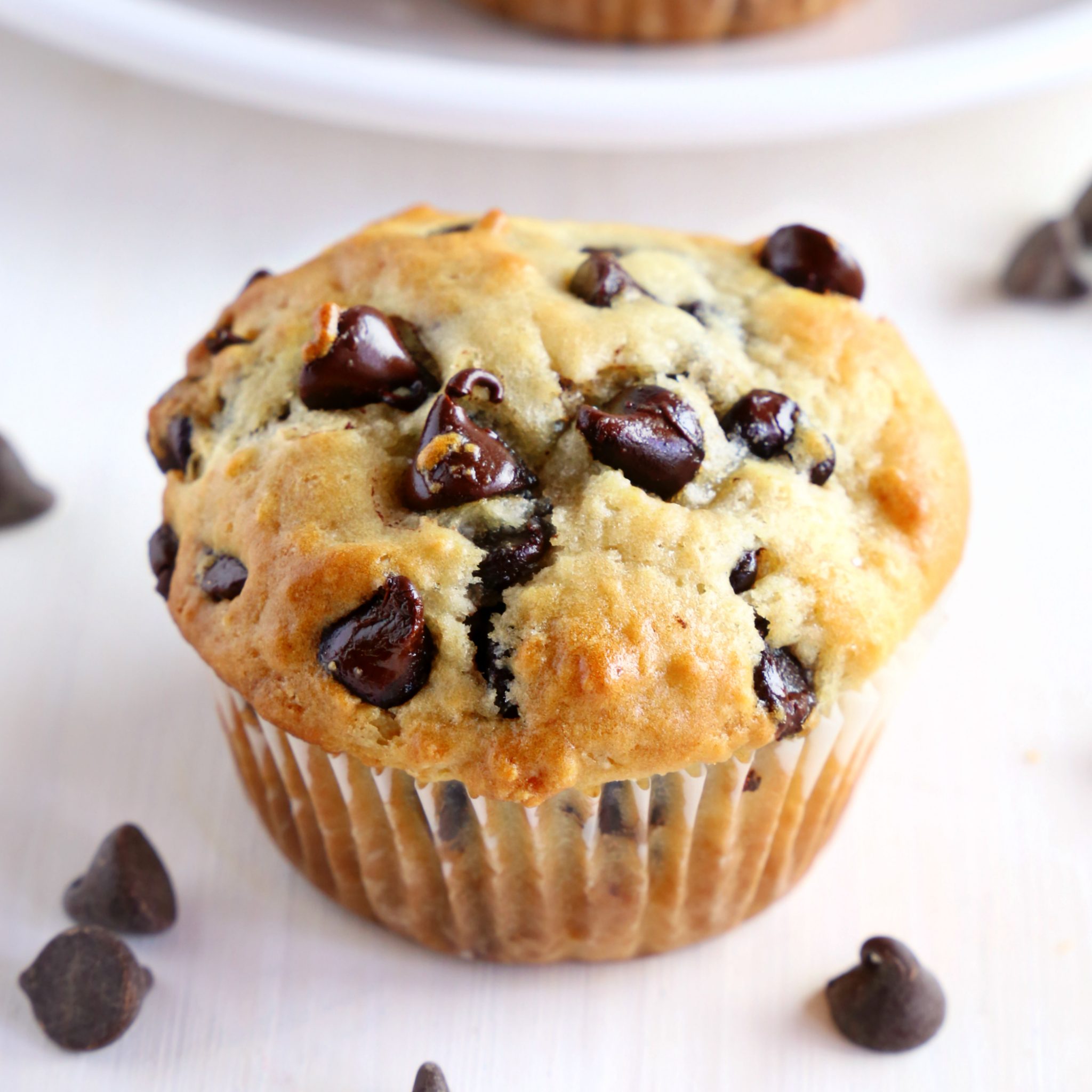 Greek Yogurt Muffins with Chocolate Chips - The Busy Baker