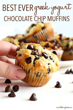 Greek Yogurt Muffins with Chocolate Chips - The Busy Baker