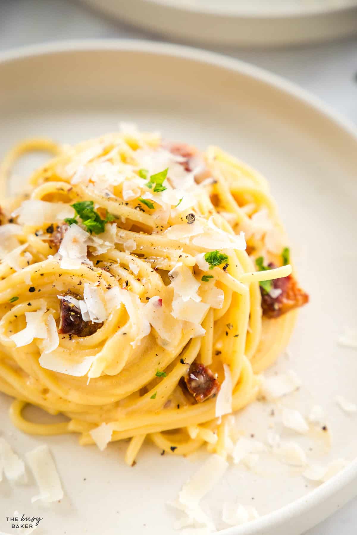 closeup image: creamy carbonara