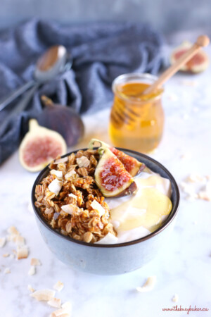 Healthy Honey and Fig Breakfast Bowls {Easy Breakfast} - The Busy Baker