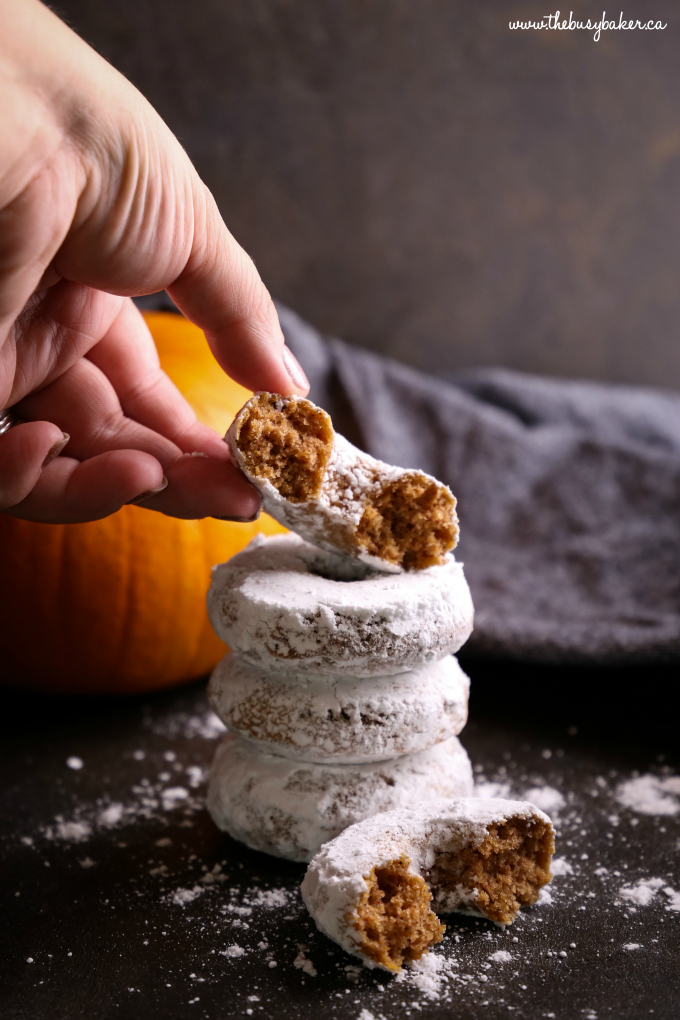 Hand holding Pumpkin Spice Baked Donuts with powdered sugar
