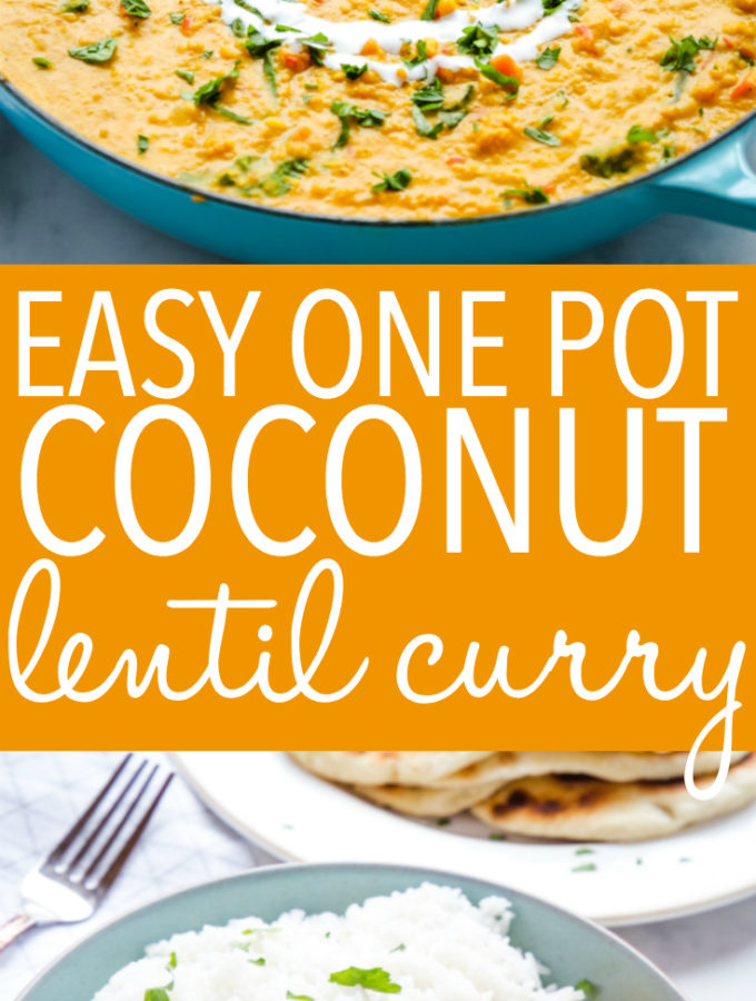 Easy One Pan Lentil Daal Curry {Vegan} - The Busy Baker