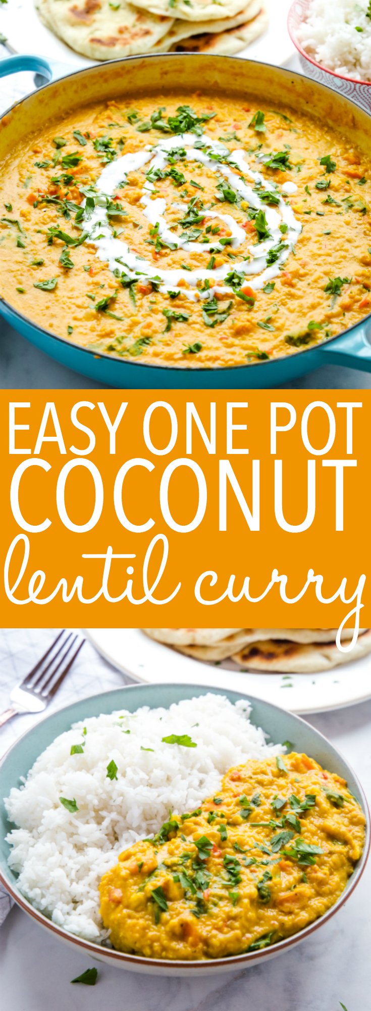 Easy One Pan Lentil Daal Curry {Vegan} - The Busy Baker