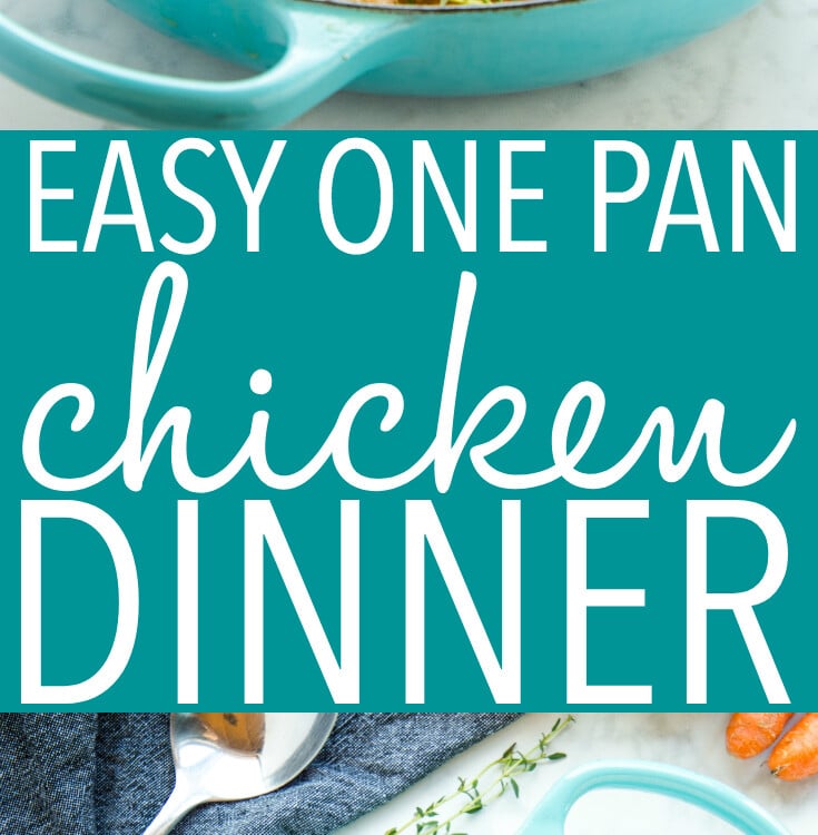 Easy One Pot Roasted Chicken Dinner - The Busy Baker