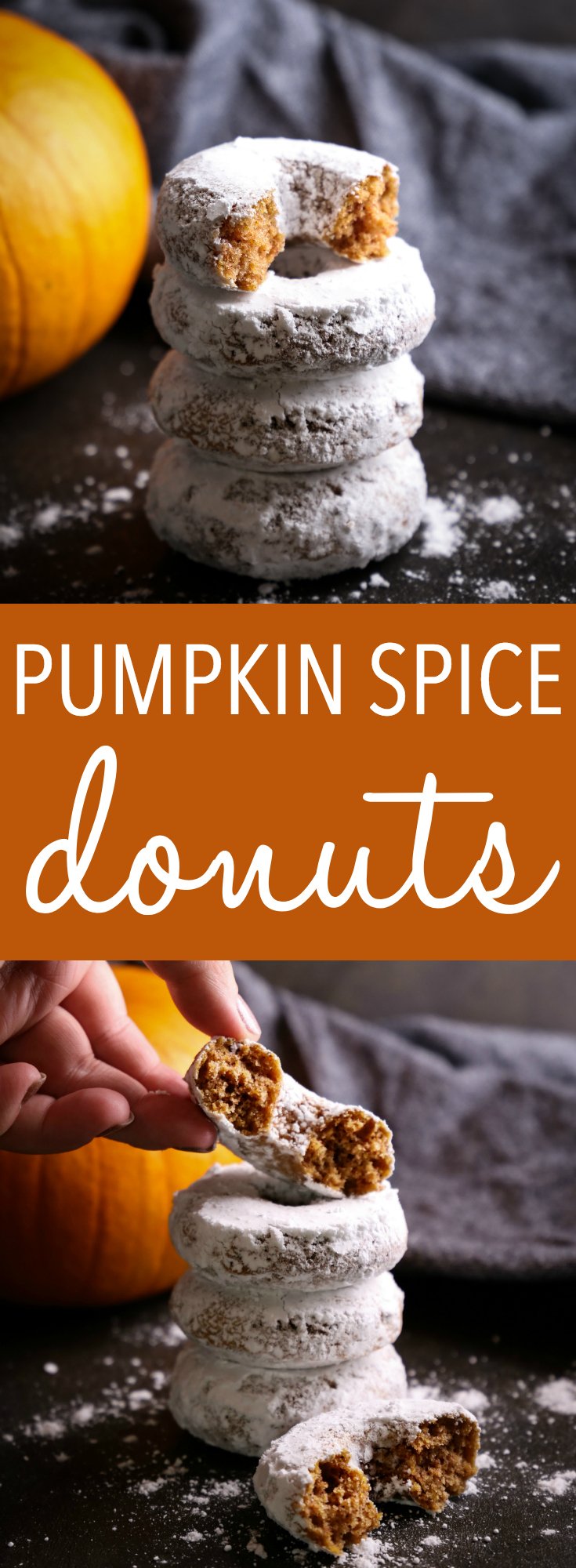 These Pumpkin Spice Baked Donuts are the perfect easy-to-make fall dessert for donut lovers, made with real pumpkin and dipped in powdered sugar! Recipe from thebusybaker.ca! #donuts #pumpkin #fall #dessert #baking #powderedsugardonuts #treat #recipe #easytomake #onebowl #foodblog #autumn #pumpkinspice via @busybakerblog