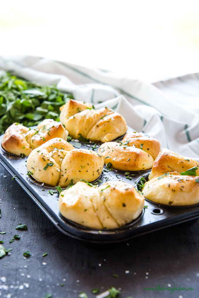 Easy Homemade Garlic Butter Dinner Rolls in muffin tin with herbs and garlic