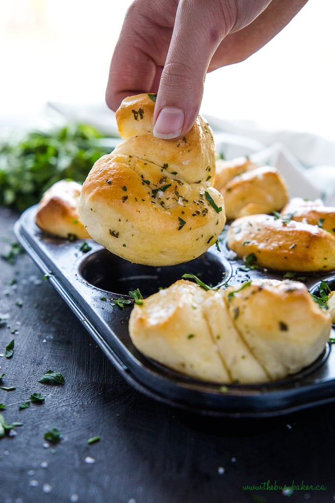 Easy Homemade Garlic Butter Dinner Rolls in muffin tin with herbs