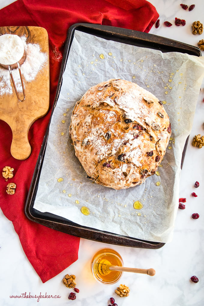 Cranberry Walnut Dutch Oven Bread