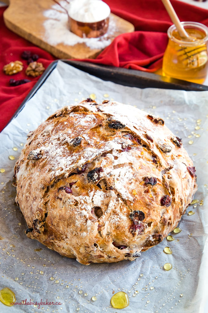 No-Knead Cranberry Walnut Bread with Honey