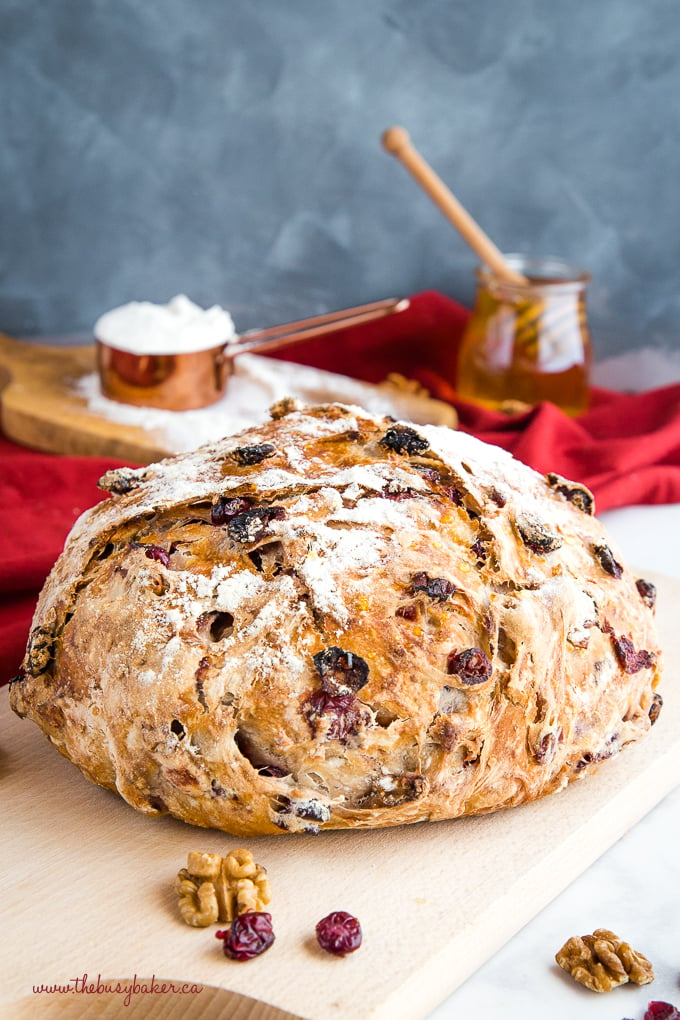 No-Knead Cranberry Honey Walnut Artisan Bread - The Busy Baker