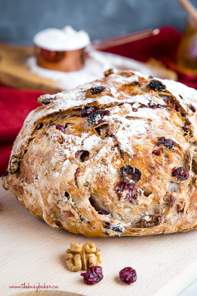 No-Knead Cranberry Honey Walnut Artisan Bread