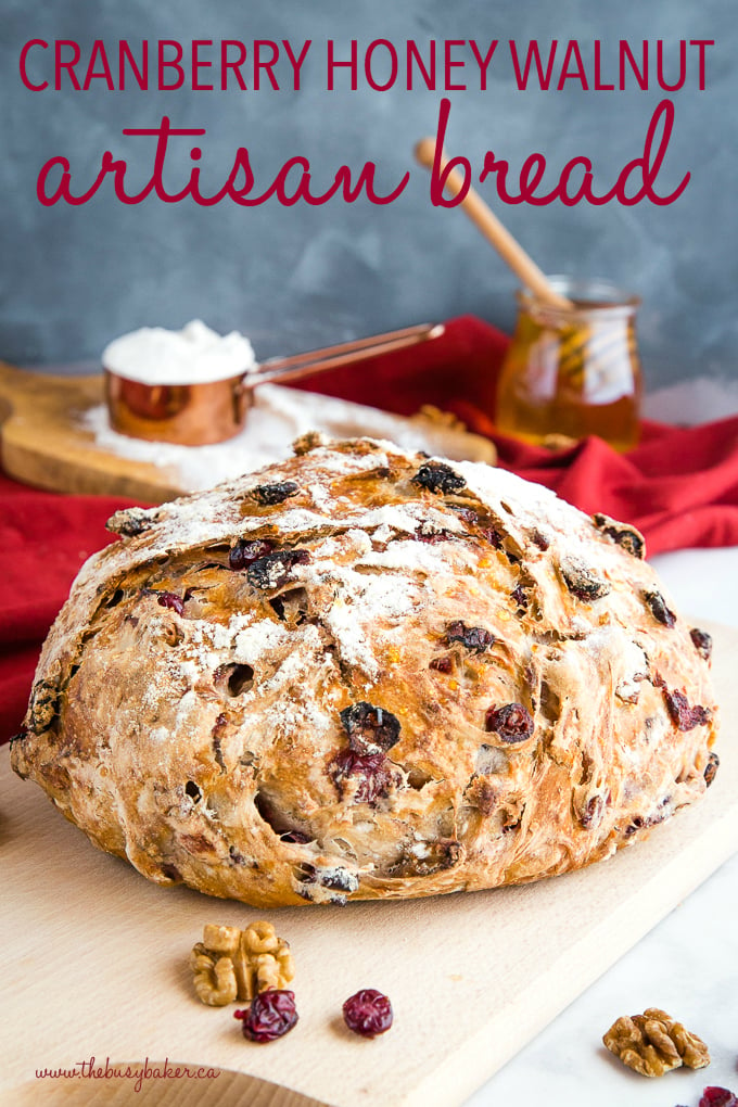 No-Knead Cranberry Honey Walnut Artisan Bread