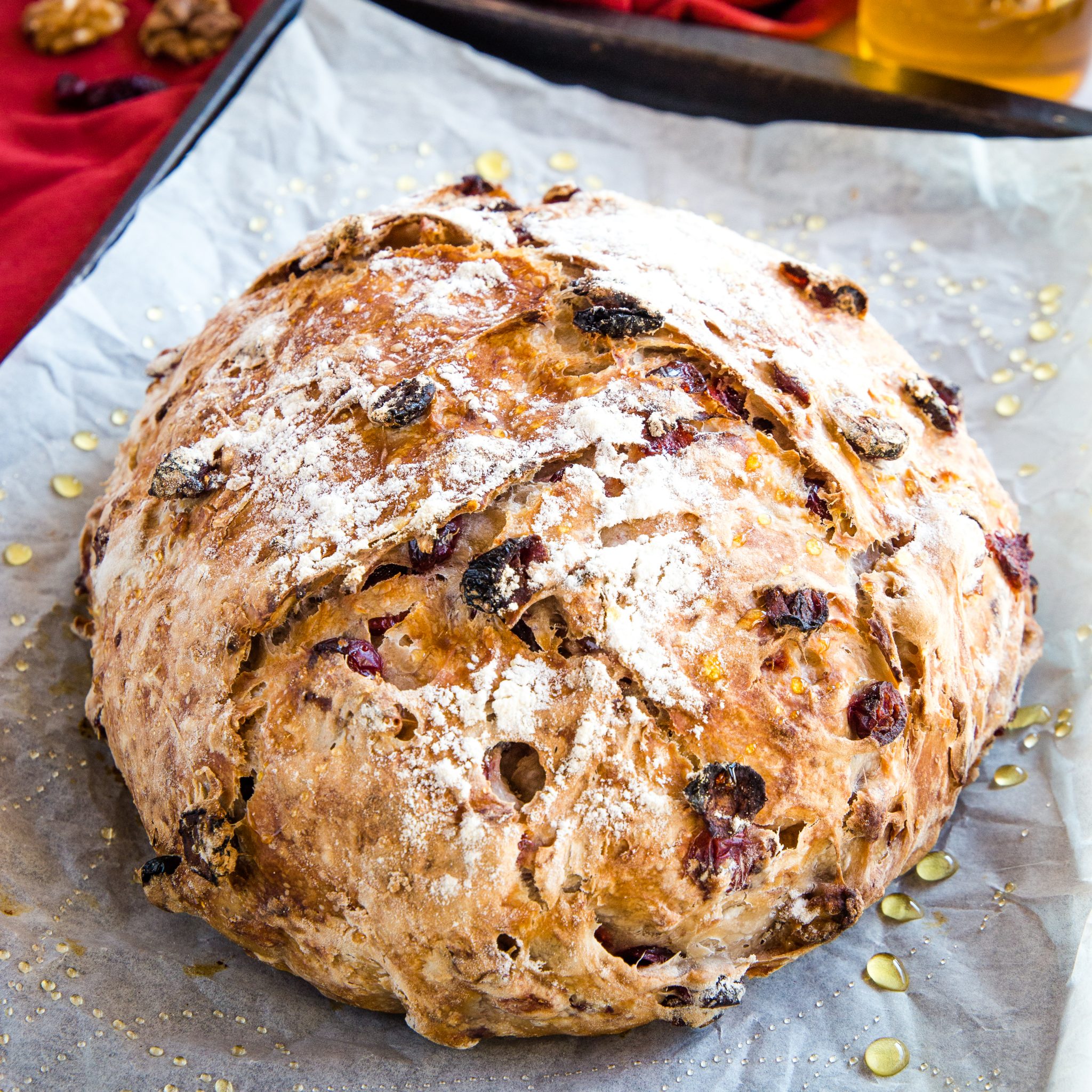 Cranberry Walnut Dutch Oven Bread