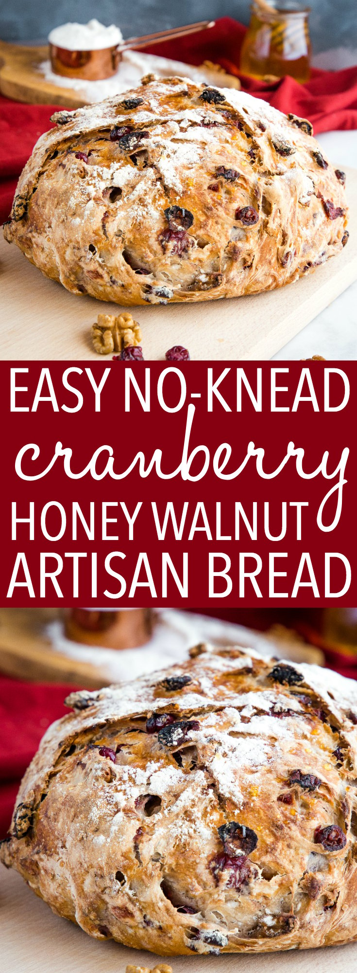 This No-Knead Cranberry Walnut Bread with Honey is a delicious sweet bakery-style bread that's perfect for the holidays! Make it perfect with my easy pro tips for homemade bakery-style bread! Recipe from thebusybaker.ca! #artisanbread #cramberry #honey #walnut #holiday #holidays #bread #easy #recipe #comfortfood #bakerstyle #homemade via @busybakerblog
