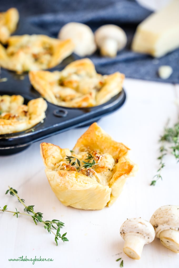 Creamy Parmesan Mushroom Cup Appetizers with mushrooms and thyme fresh